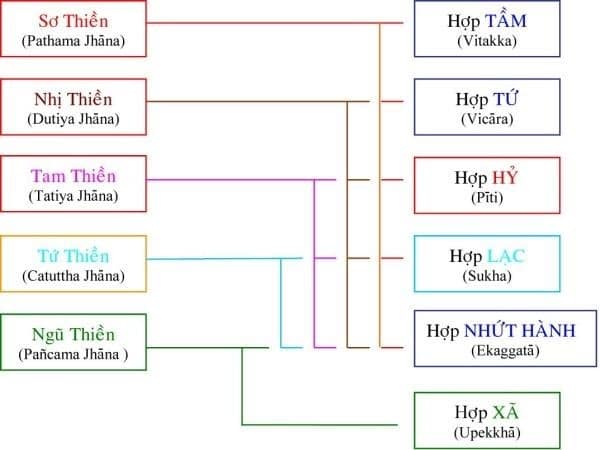 vi diệu pháp