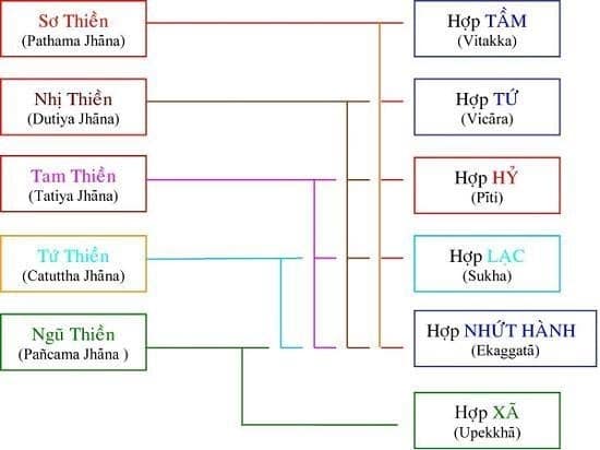 vi diệu pháp