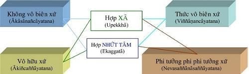 vi diệu pháp