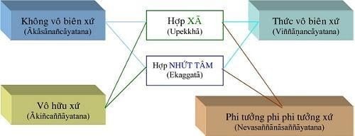 vi diệu pháp