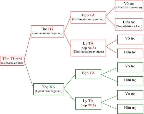 vi diệu pháp