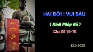 Hai đời vui sầu