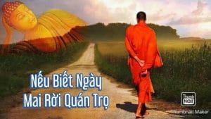 Nếu biết ngày mai rời quán trọ