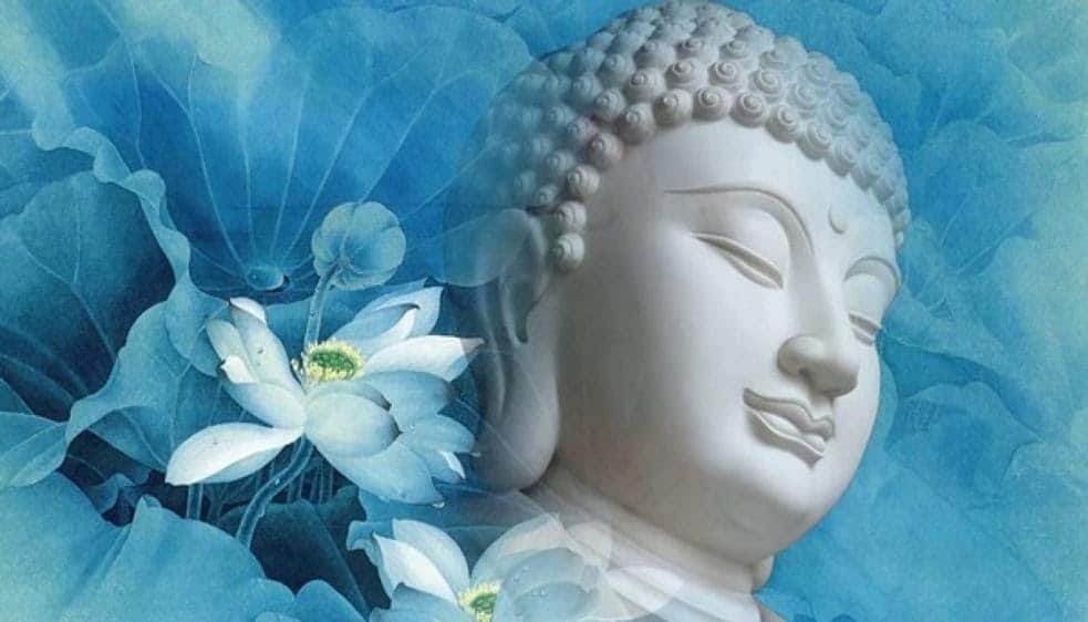 Ngược Confessions  Sinh nhật của bạn thế nào vậy 1 Rõ ràng rất hy vọng  cả thế giới có thể chúc mừng tôi nhưng lại không muốn mặt dày nói với