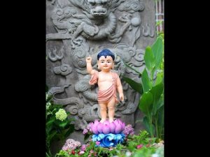 Bước chân Đức Phật