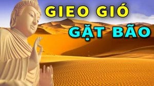 Gieo gió gặt bão