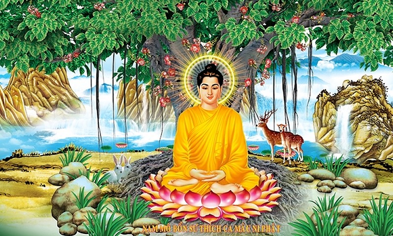 Dòng sông tâm thức