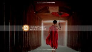 Cha mẹ và con cái là duyên hay nợ