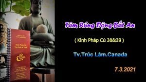 Tâm rúng động bất an