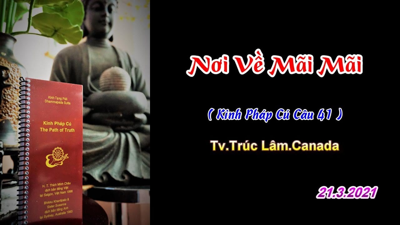 Nơi về mãi mãi 1