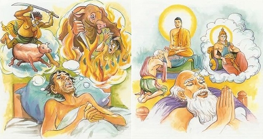 Luận nhân quả là gì vận hành ra sao? Ai tạo ra luật nhân quả 5 luật nhân quả sinh tử luân hồi
