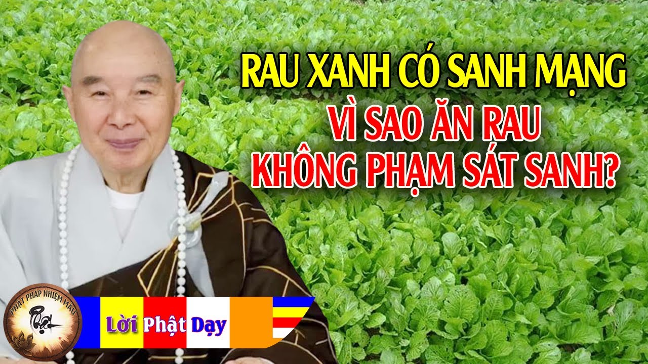 Rau củ quả có sinh mạng, vì sao ăn rau không phải là sát sanh?