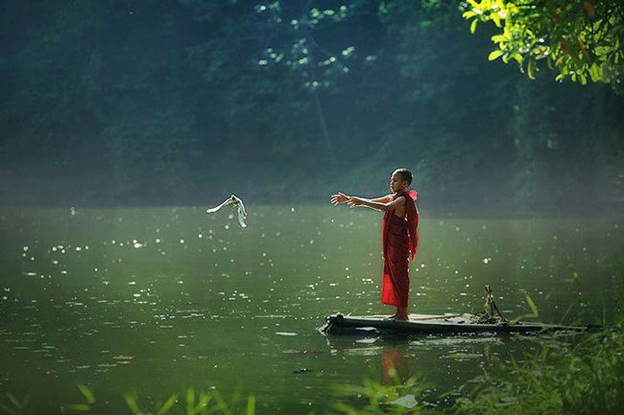 Bình yên đến từ tình thương và điều đơn giản 2 bình yên đến từ tình thương và điều đơn giản
