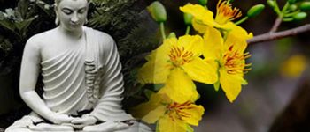 Xuân về, mong đời một cõi an nhiên!